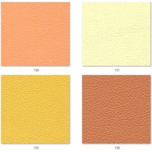 cartella colori panda 1